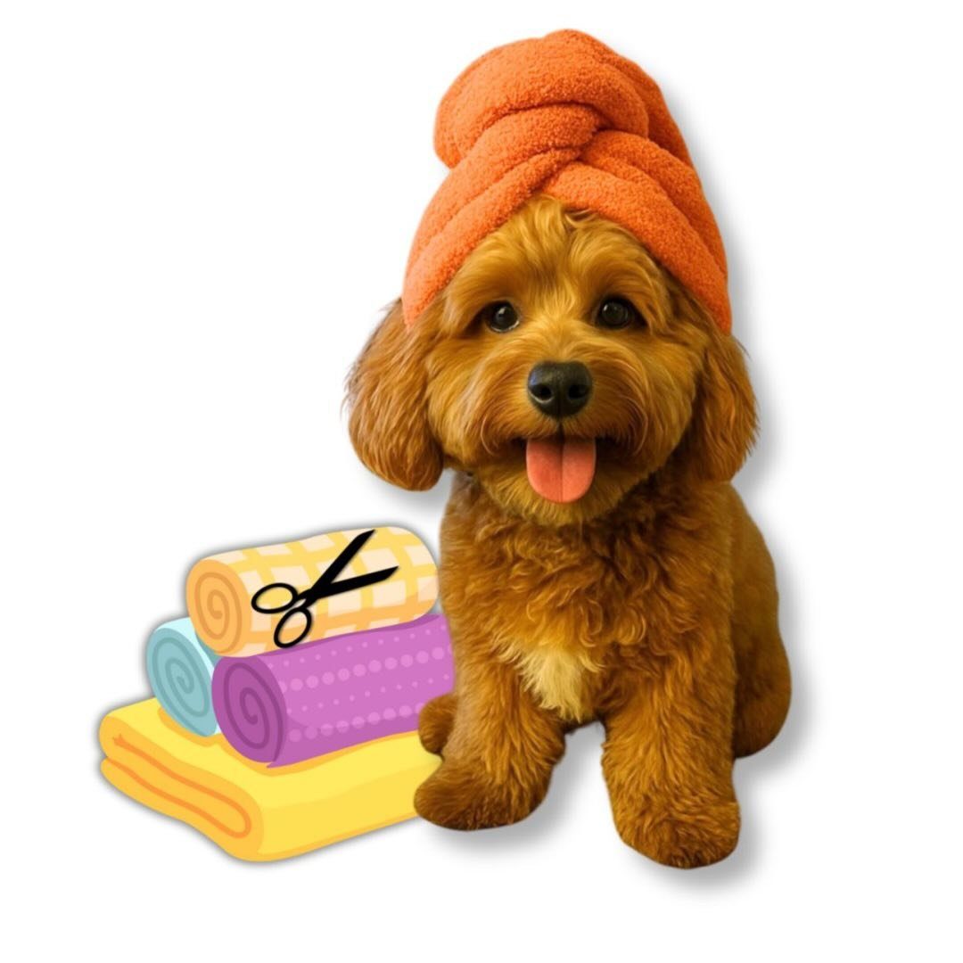 By Tarçın Style Pet Kuaför profil