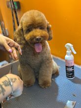 Pawz Up Grooming&Shop fotoğraf