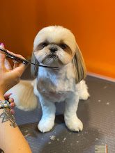 Pawz Up Grooming&Shop fotoğraf